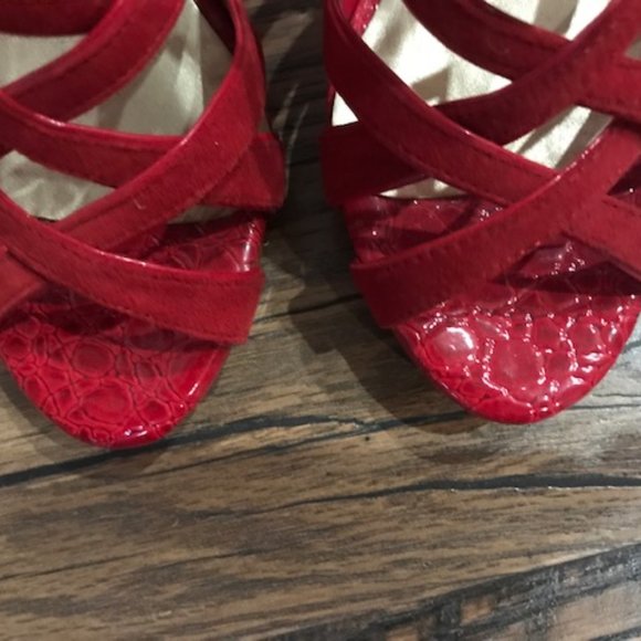 Unique Red Alligator Pattern and Red Suede Cage Shoes - Picture 5 of 6